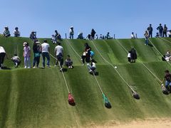 -南通洲际绿博园