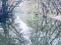 -西溪南古村落景区