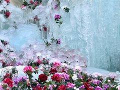 -洛阳白云山景区