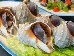 -渔家大院·地道威海菜(石岛店)