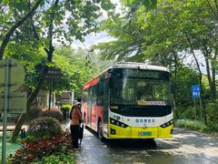 -广州白江湖森林公园