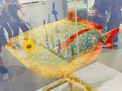 -大连自然博物馆