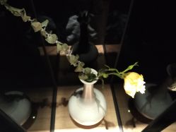 -美壹生诊所皮肤管理中心·海菲秀&Legacy美白舱