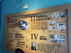 -海合安武汉极地海洋公园