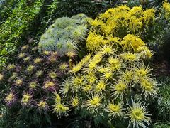 -杭州植物园