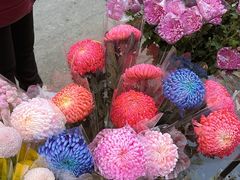 -东川新街市(东川市场店)