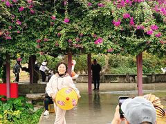 -靖西鹅泉风景区