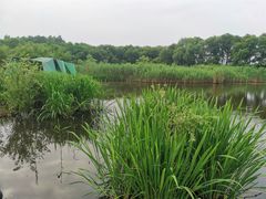 -西湖风景区-江洋畈生态公园