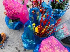 -双季花艺园艺市场(浦东店)