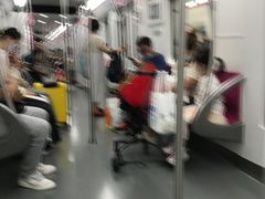 -东方体育中心(地铁站)