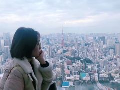 -六本木新城展望台(东京城市景观)