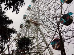 -广东茂名森林公园