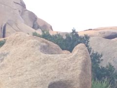 -那琴半岛地质海洋公园