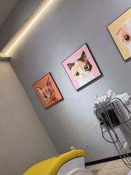 -洗脸猫·洗脸吧