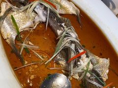 -丹江渔村(望京店)