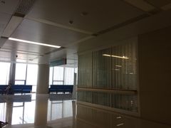 -中国人民解放军总医院(301医院)
