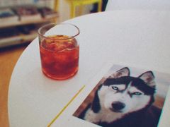 -隹木咖啡馆(宝龙广场店)