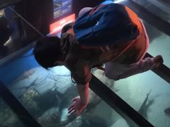 -新加坡海洋生态馆