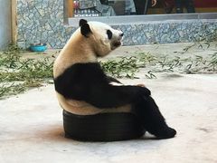 -西安秦岭野生动物园