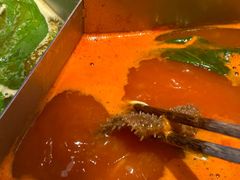 -大熊猫毛肚火锅(烟台万象汇店)