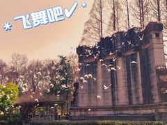 -音乐台