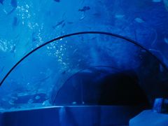 -太平洋海底世界