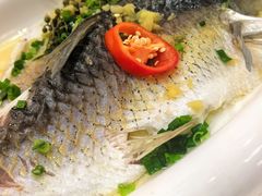 -禄福山庄•顺德菜·融和菜(龙江店)