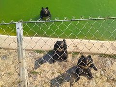 -石家庄市动物园