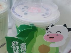 -一只酸奶牛(春熙路店)