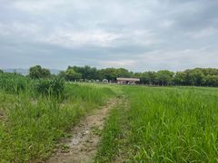 -良渚古城遗址公园