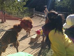 -大连森林动物园