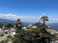 -秦岭风景区