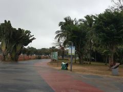 -万绿园