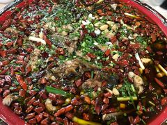 来凤鱼-东吴霸王兔(松青路店)