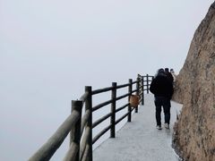 -洛阳白云山景区