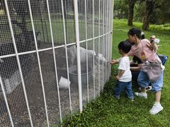 -福建鲤鱼洲酒店