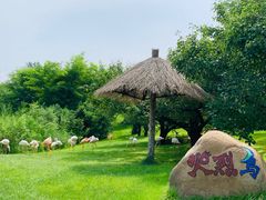 -北京野生动物园