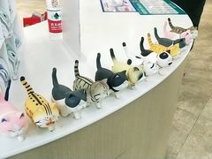 -美联众合动物医院·24h转诊中心