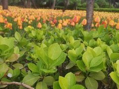 -迎泽公园