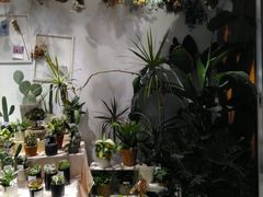 -The Green Party(嘉里中心店)