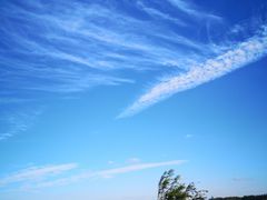 -吴淞炮台湾湿地森林公园烧烤区