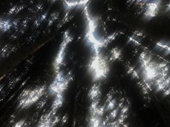 -武陵山森林公园