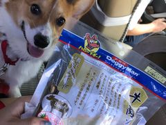 -宠爱国际动物医院·消化内科·心肾内科·ISFM猫友好(望京店)