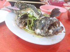 -蚝乡农庄(铁涌赤岸店)