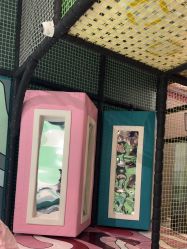 -MELAND CLUB亲子乐园·派对·餐厅(北京芳圆里ID MALL店)