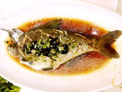 榄角蒸边鱼-百乐门喜宴(海珠广场华厦店)
