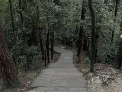 -缙云山景区