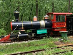 -合肥滨湖国家森林公园