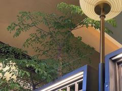 -桂满陇·海市蜃楼·黑金(国金店)