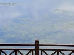 -南宁南湖公园